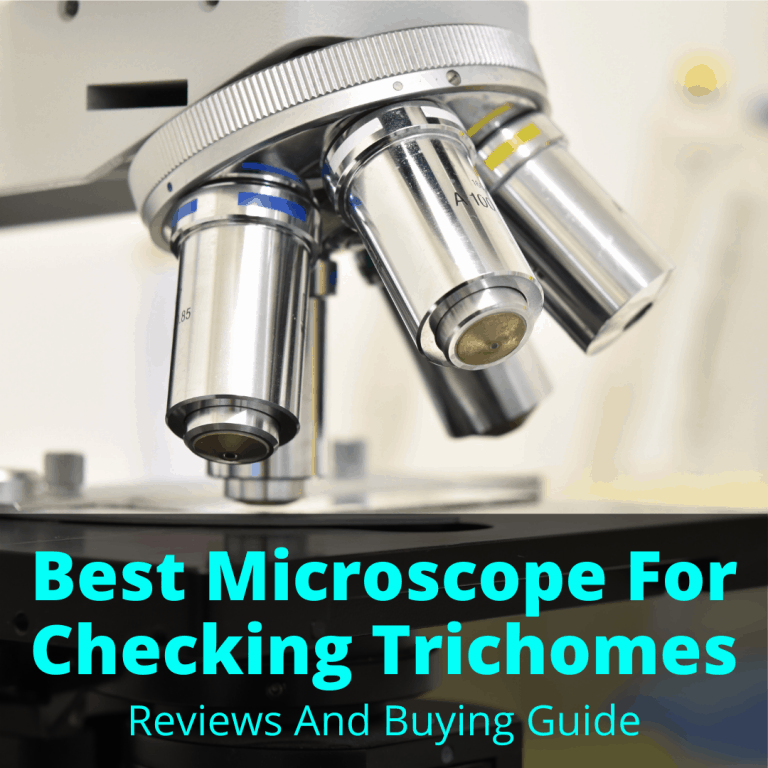Best Microscope For Checking Trichomes (Reviews And Buying Guide)