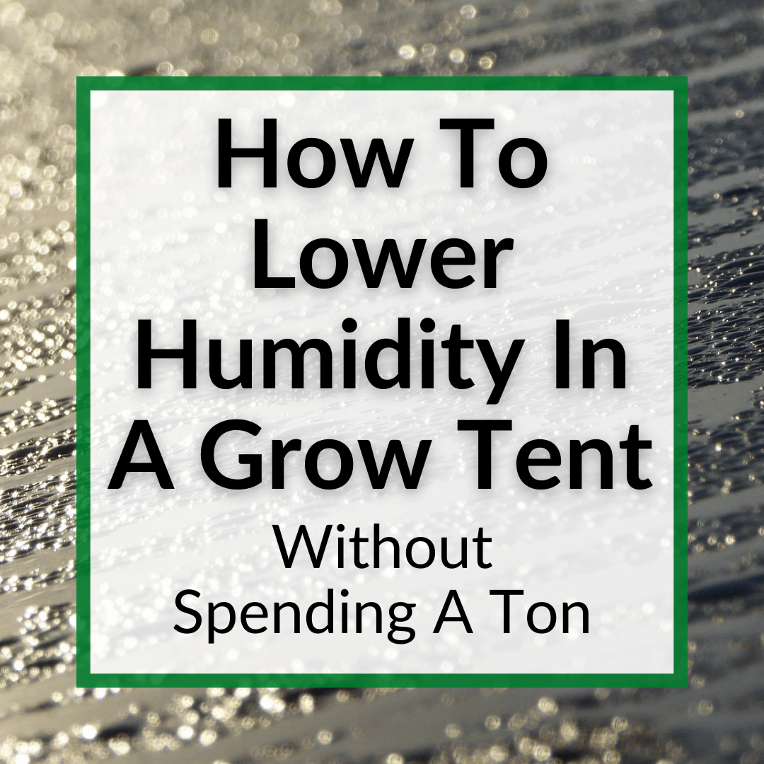 How To Lower Humidity In Grow Tent