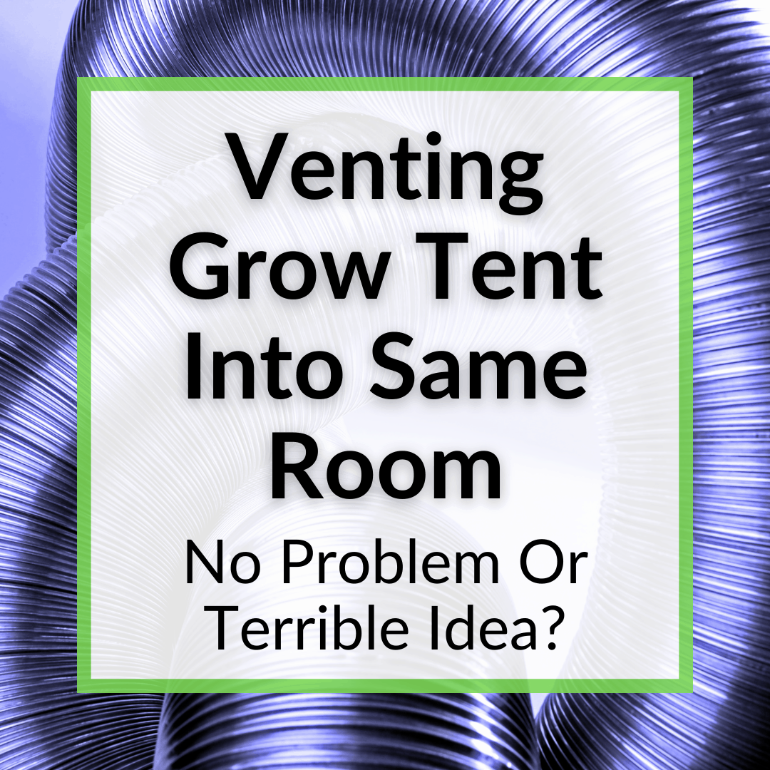 Venting Grow Tent Into Same Room