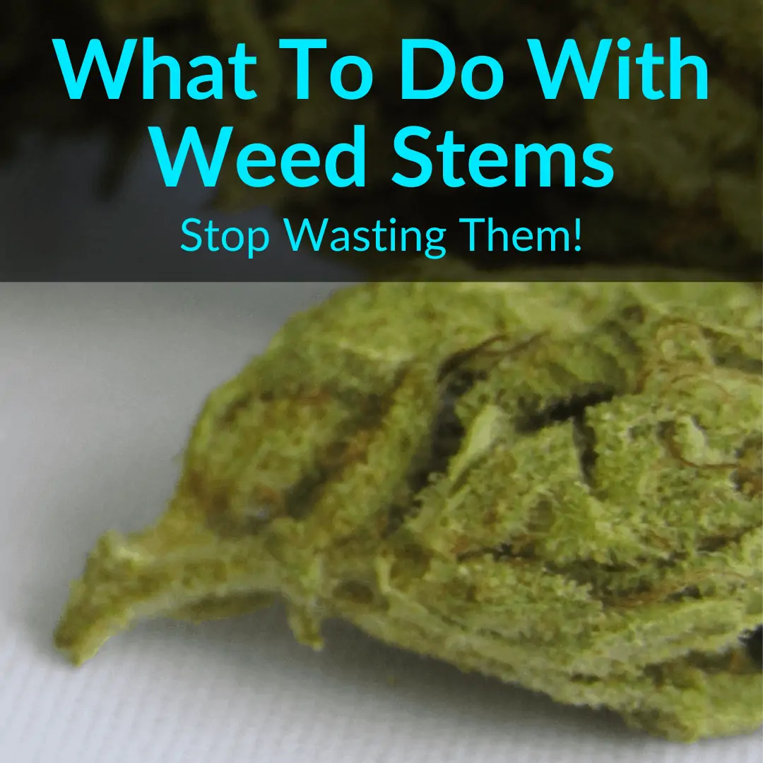 What To Do With Weed Stems
