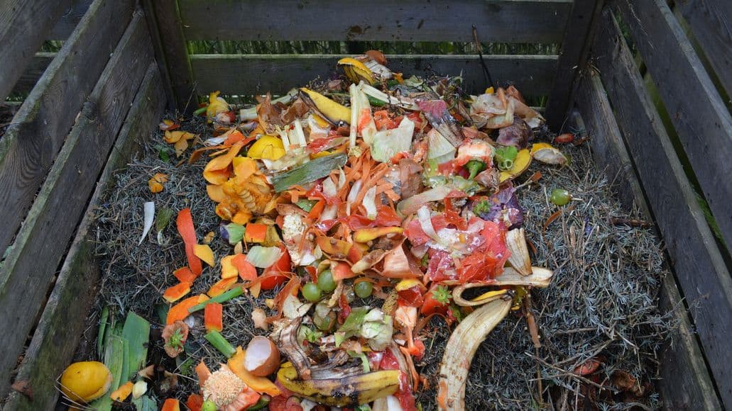 compost bin for cannabis stems