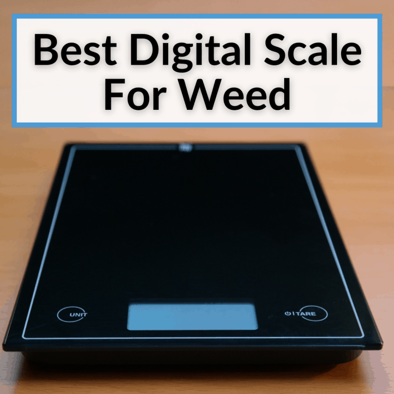 Best Digital Scale For Weed (Reviews And Buying Guide)