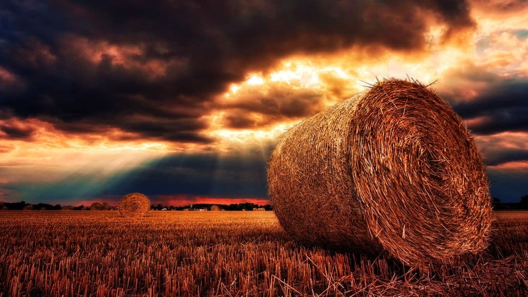 bale of hay at sunset