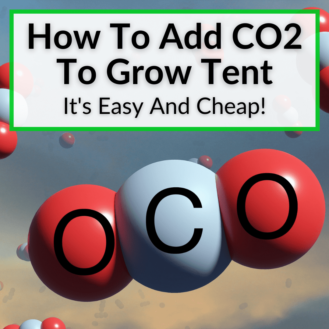 Comment ajouter du CO2 à la tente de culture