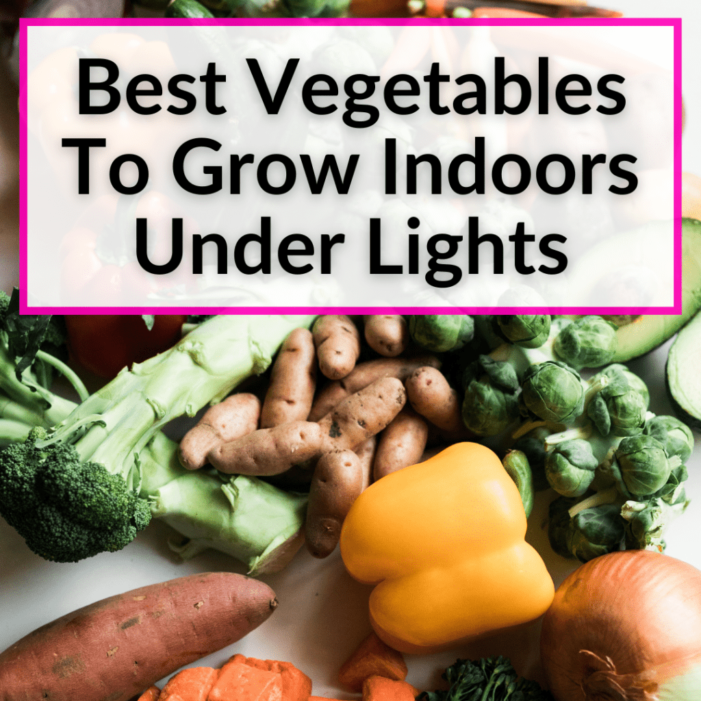 Best Vegetables To Grow Indoors Under Lights (11 Great Choices)