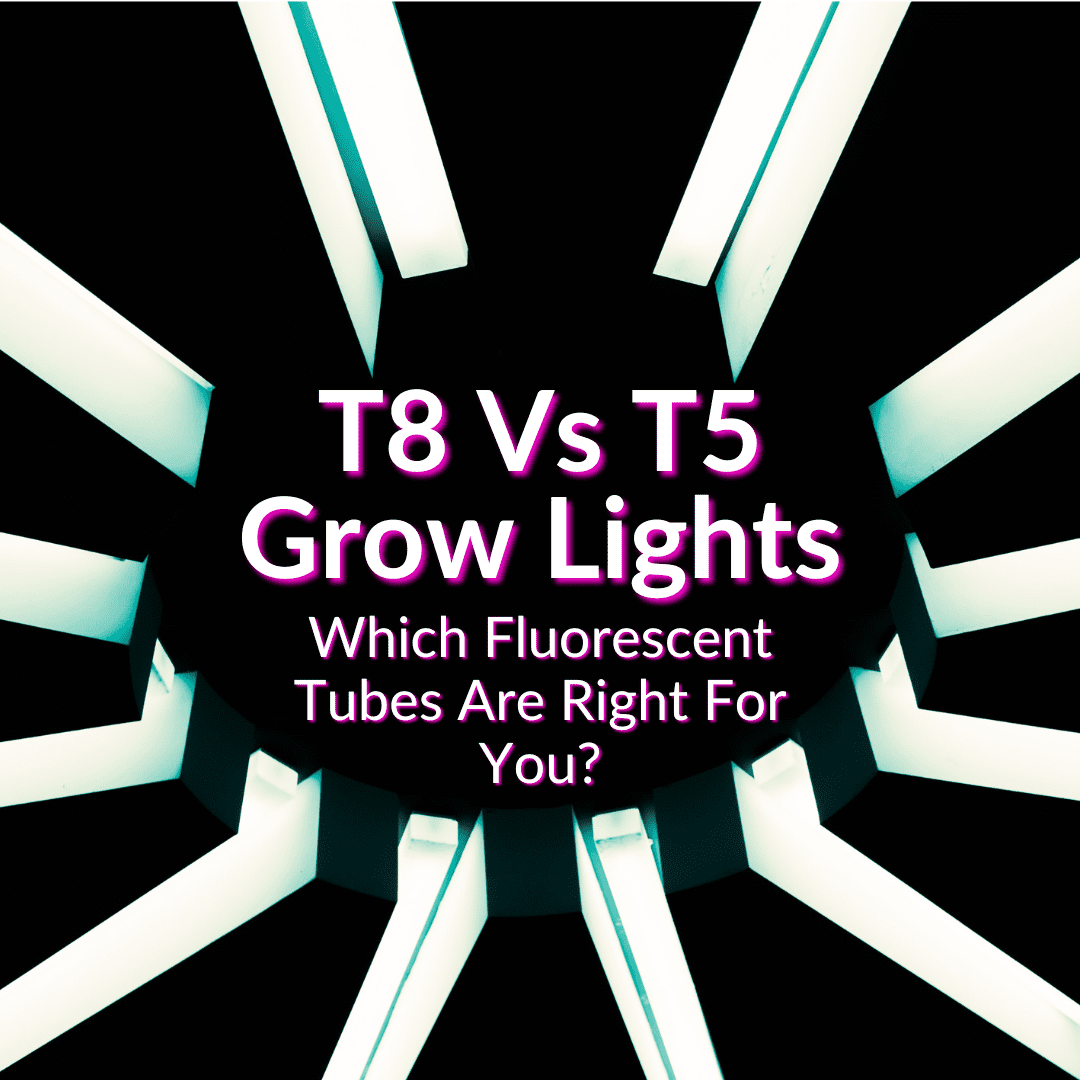 T8 Vs T5 Grow Lights