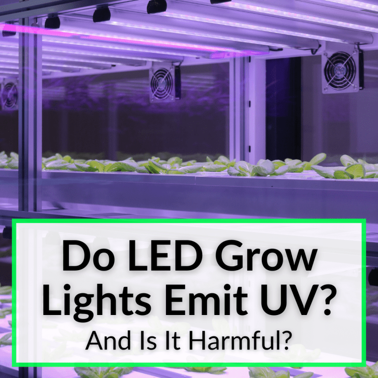 Do LED Grow Lights Emit UV? (And Is It Harmful?)