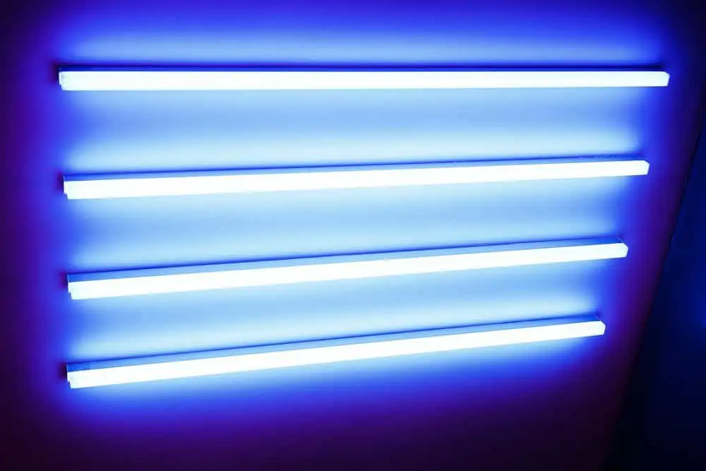 Fluorescent grow lights
