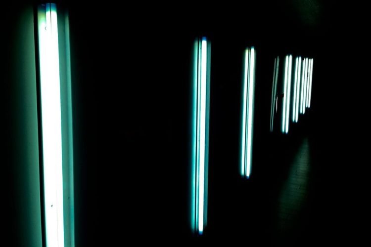 T8 Vs T5 Grow Lights (Which Fluorescent Tubes Are Right For You?)