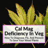 Cal Mag Deficiency In Veg