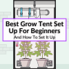 Best Grow Tent Set Up