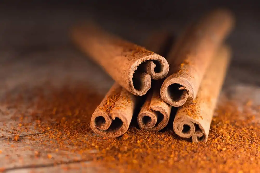 cinnamon against gnats