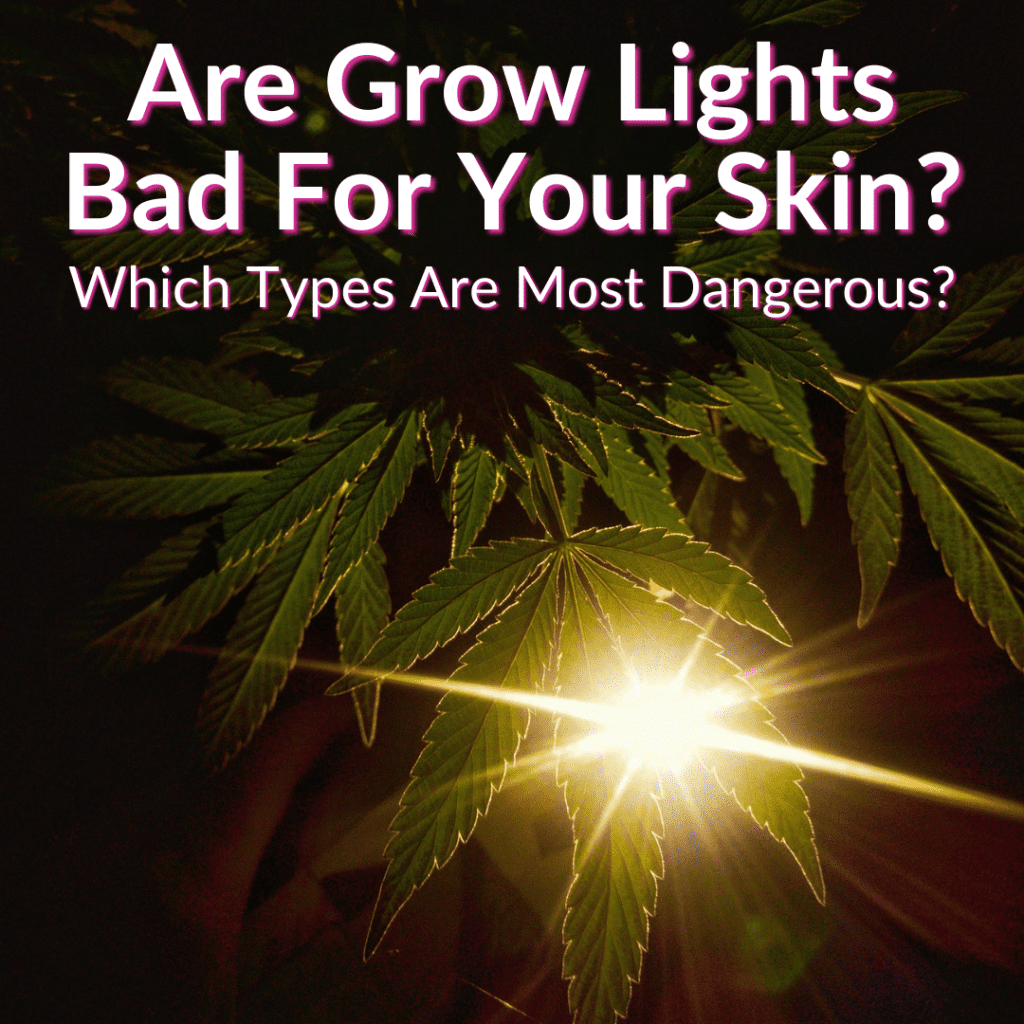Are Grow Lights Bad For Your Skin? (Which Types Are Most Dangerous?)