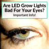 Are LED Grow Lights Bad For Your Eyes