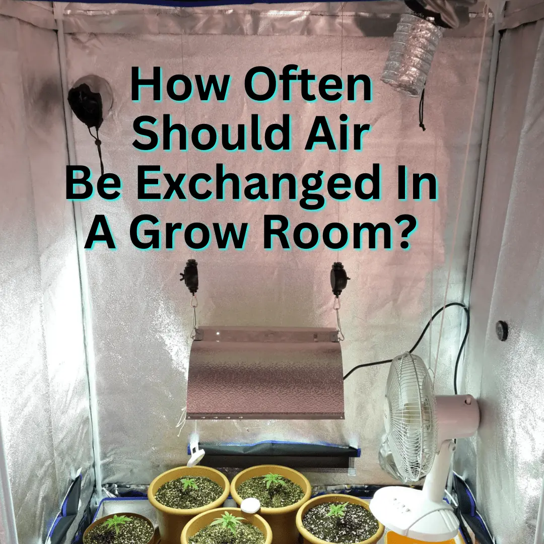 How Often Should Air Be Exchanged In A Grow Room