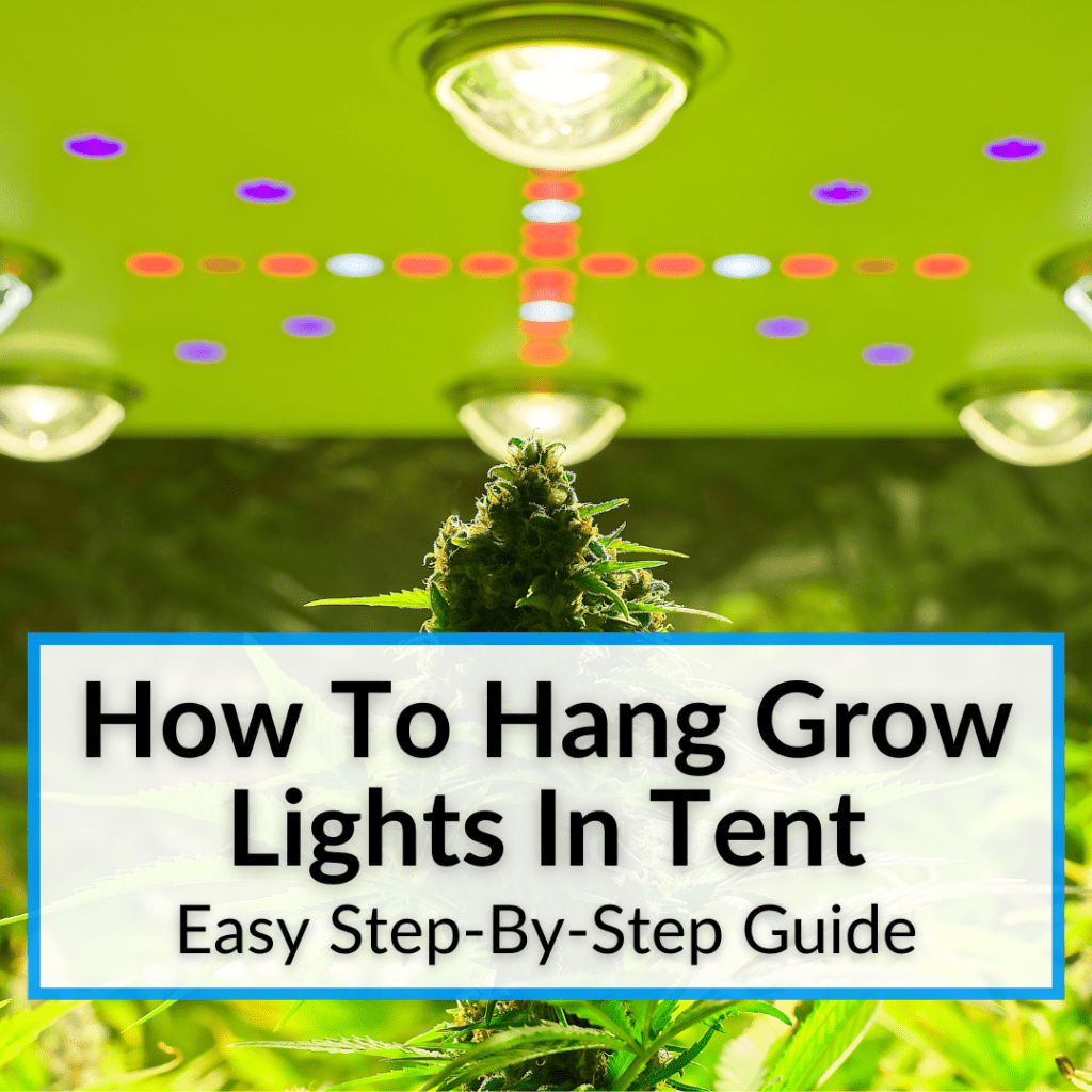 How To Hang Grow Lights In Tent (Easy StepByStep Guide)