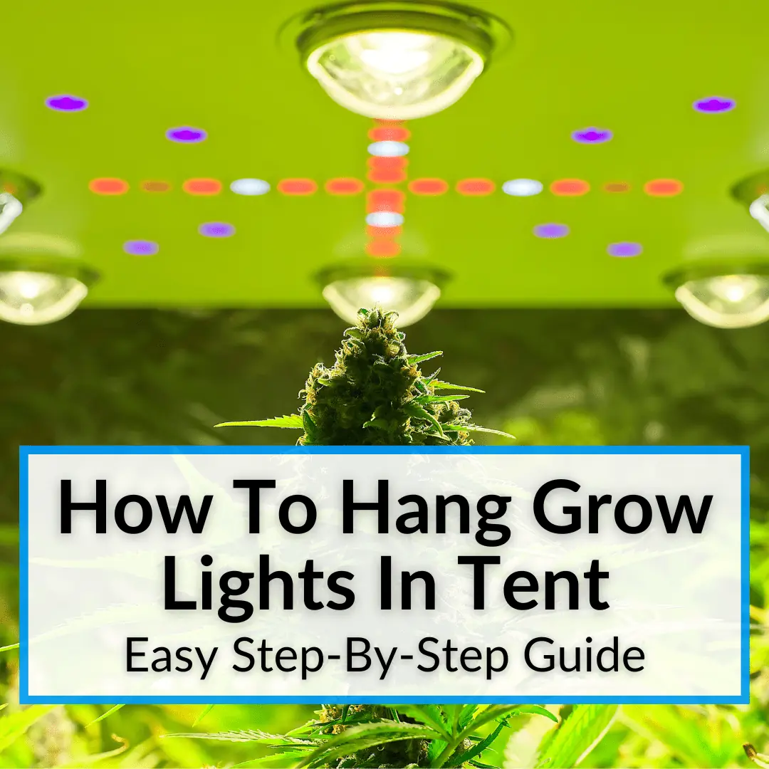 How To Hang Grow Lights In Tent