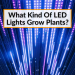 What Kind Of LED Lights Grow Plants