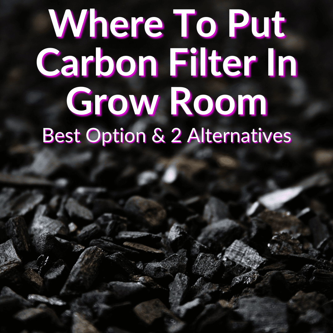 Where To Put Carbon Filter In Grow Room