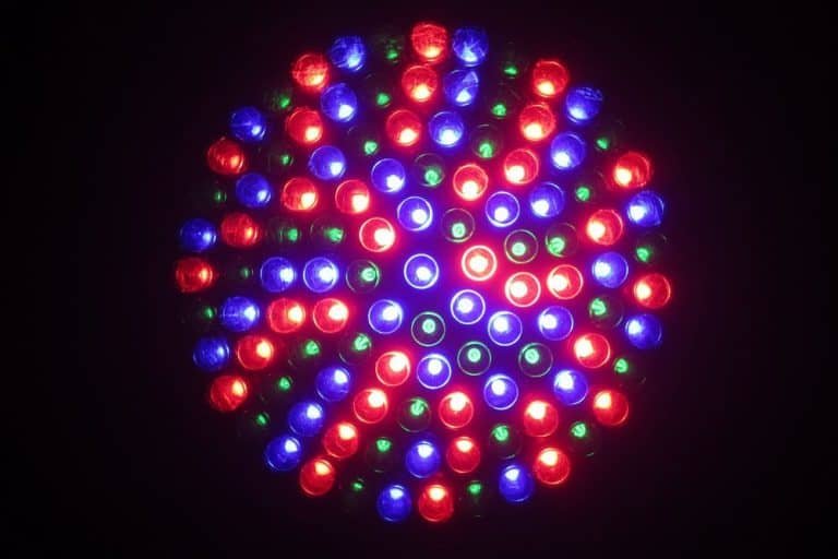 Why Does Blue Light Help Plants Grow? (What You Need To Know)