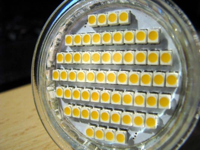 Can I Use Normal LED Light To Grow Plants Indoor?