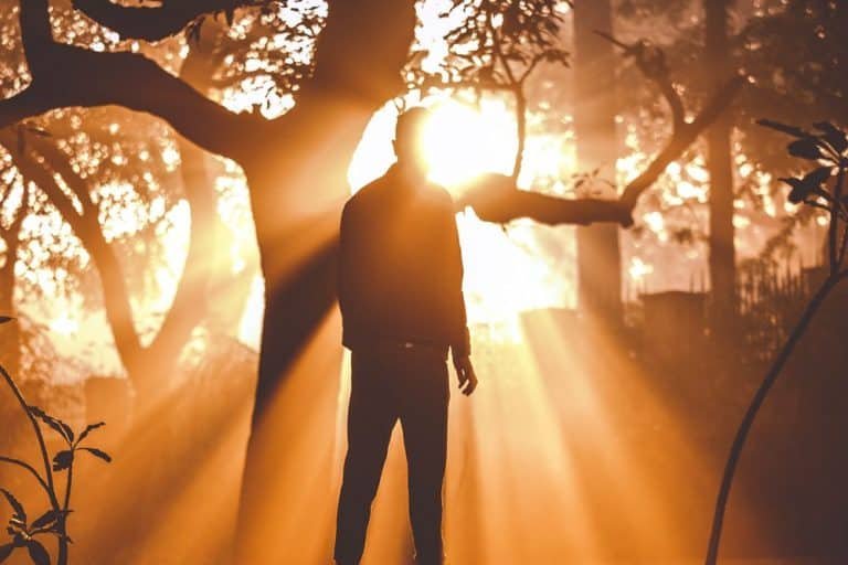 Best Time To Run Grow Lights (And Why There Is So Much Debate)