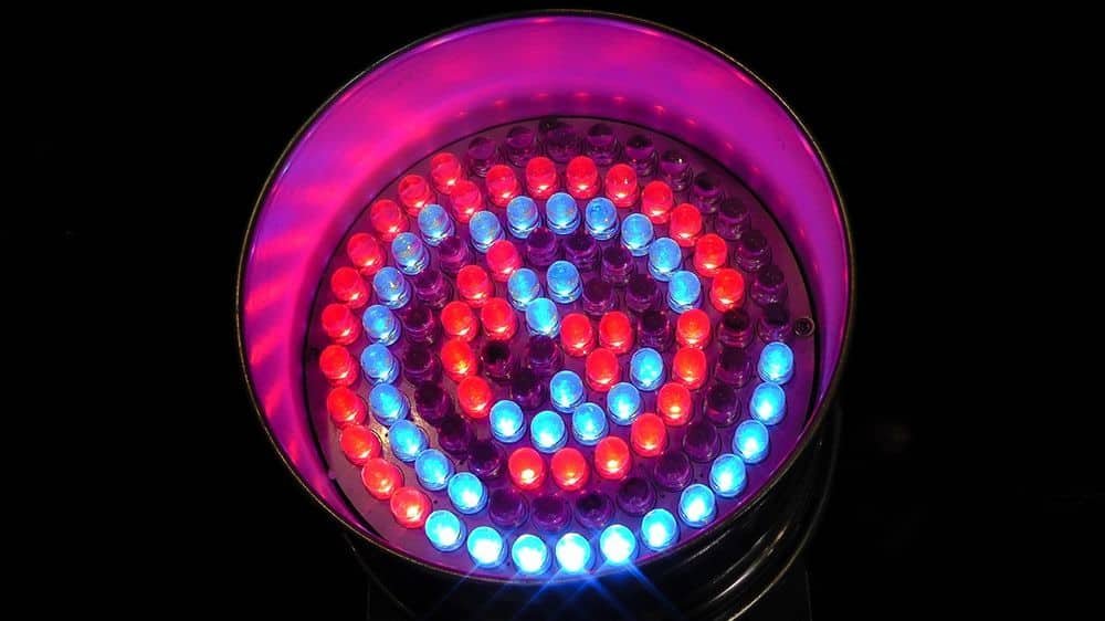 red and blue led diodes