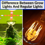 Difference Between Grow Lights And Regular Lights
