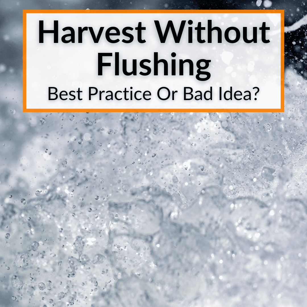Harvest Without Flushing