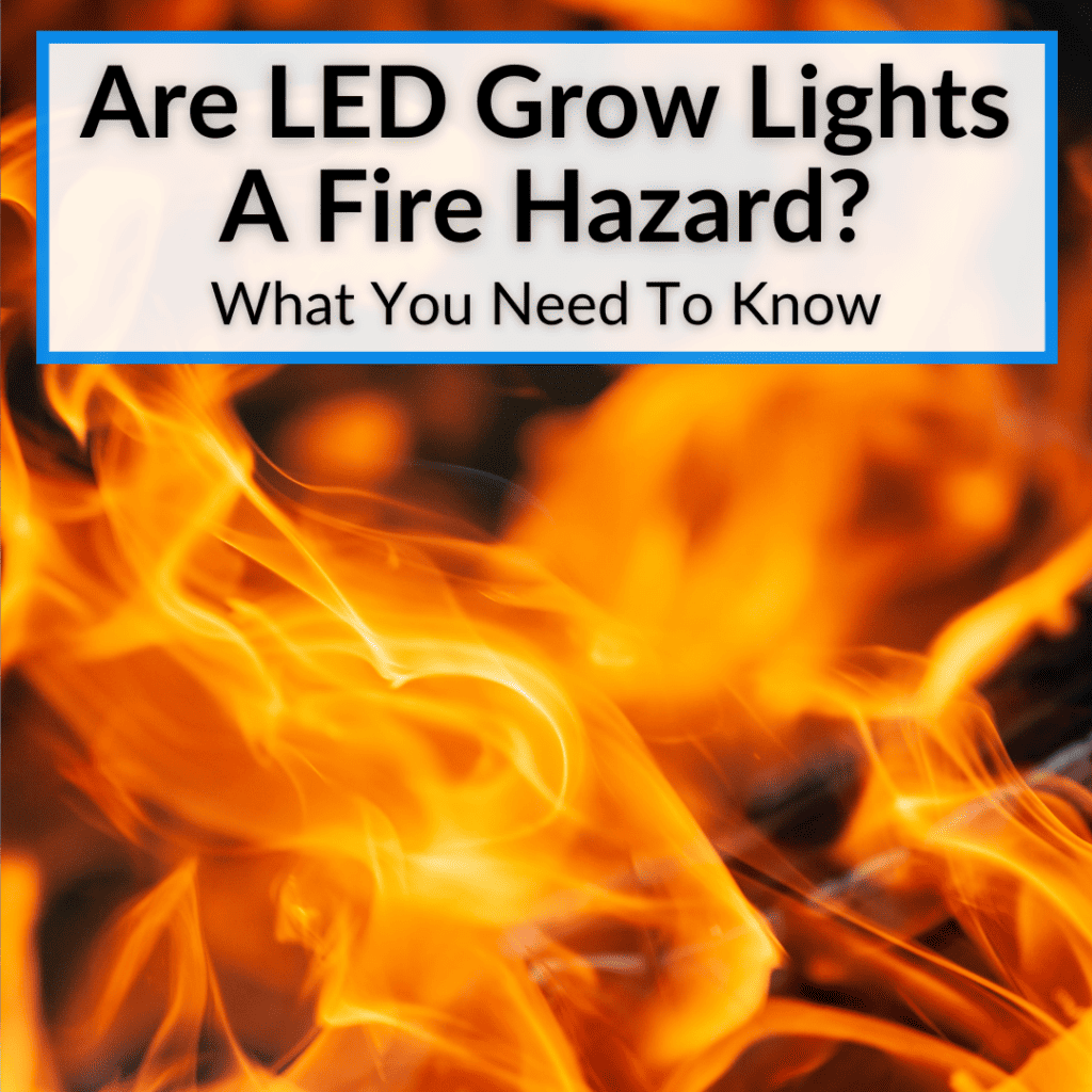 Are LED Grow Lights A Fire Hazard? (What You Need To Know)