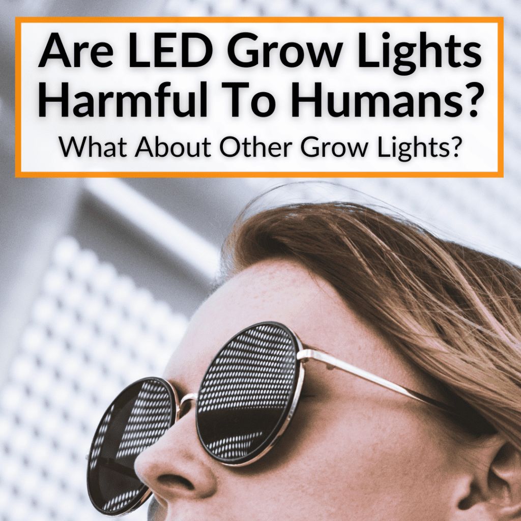 Are LED Grow Lights Harmful To Humans? (And Other Grow Lights?)
