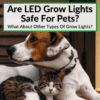 Are LED Grow Lights Safe For Pets