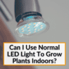 Can I Use Normal LED Light To Grow Plants Indoor