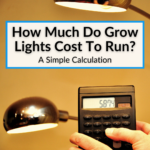 How Much Do Grow Lights Cost To Run
