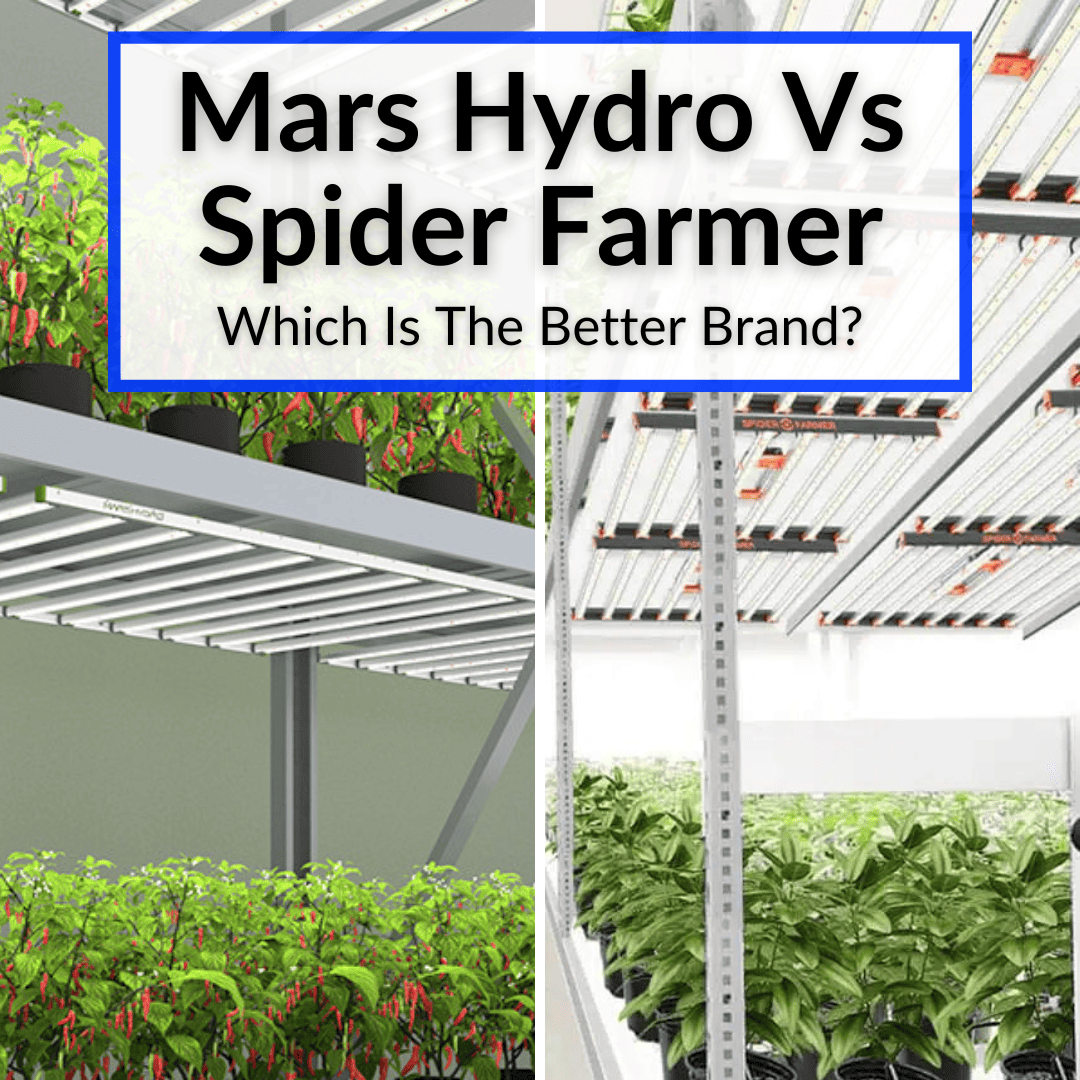 Mars Hydro Vs Spider Farmer