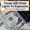 Cheap LED Grow Lights Vs Expensive
