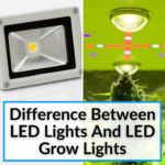Difference Between LED Lights And LED Grow Lights