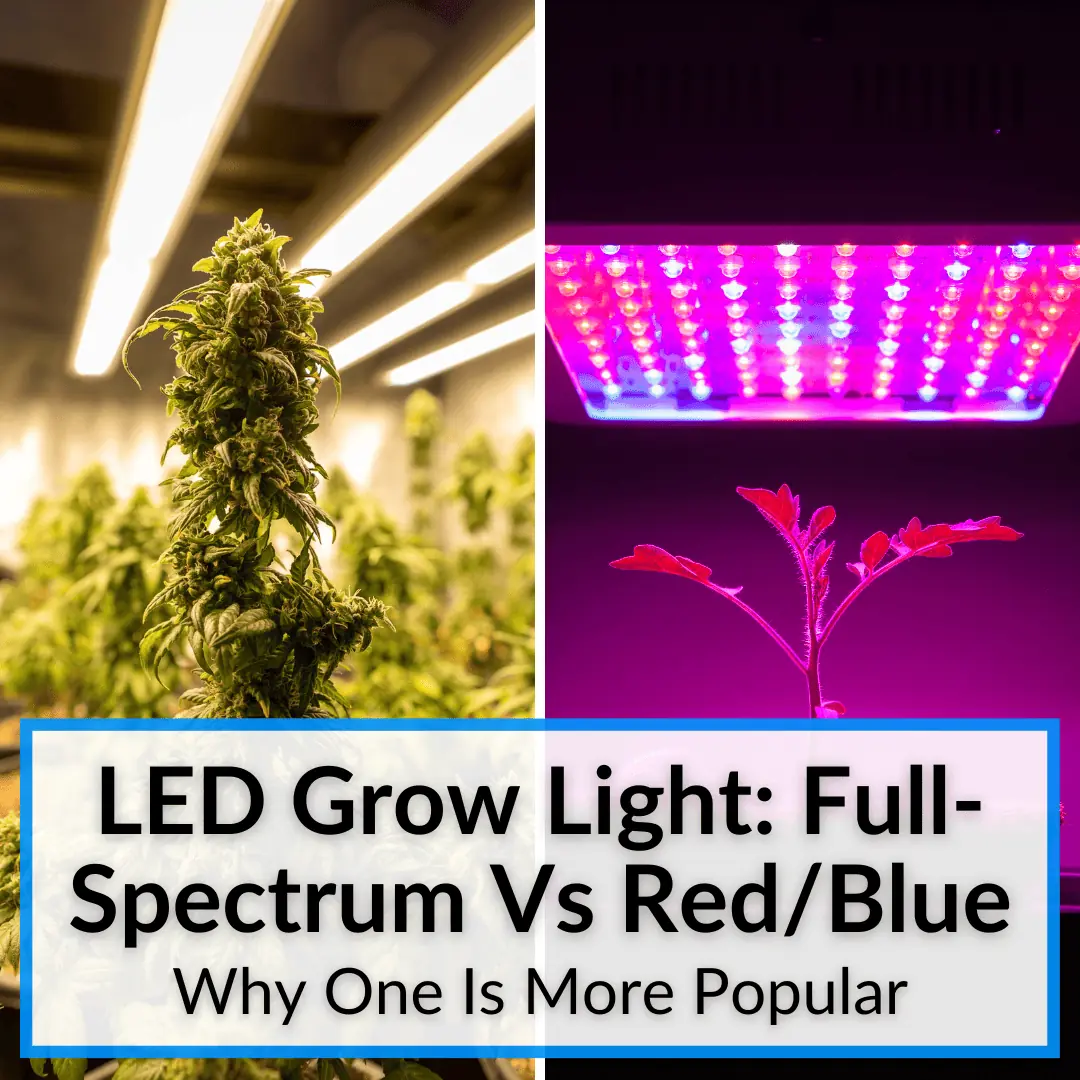 led grow light full spectrum vs red blue