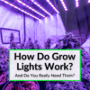 How Do Grow Lights Work