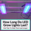 How Long Do LED Grow Lights Last
