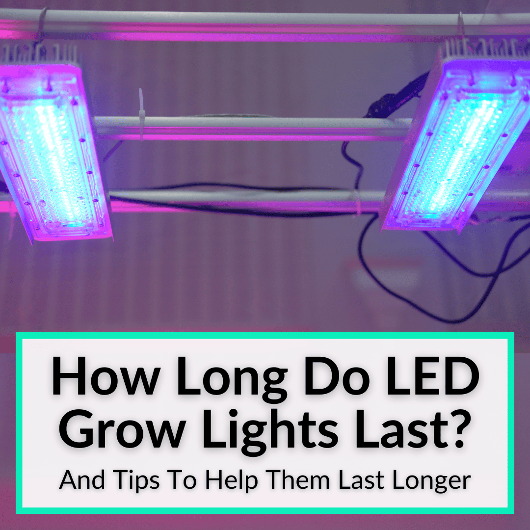 How Long Do LED Grow Lights Last