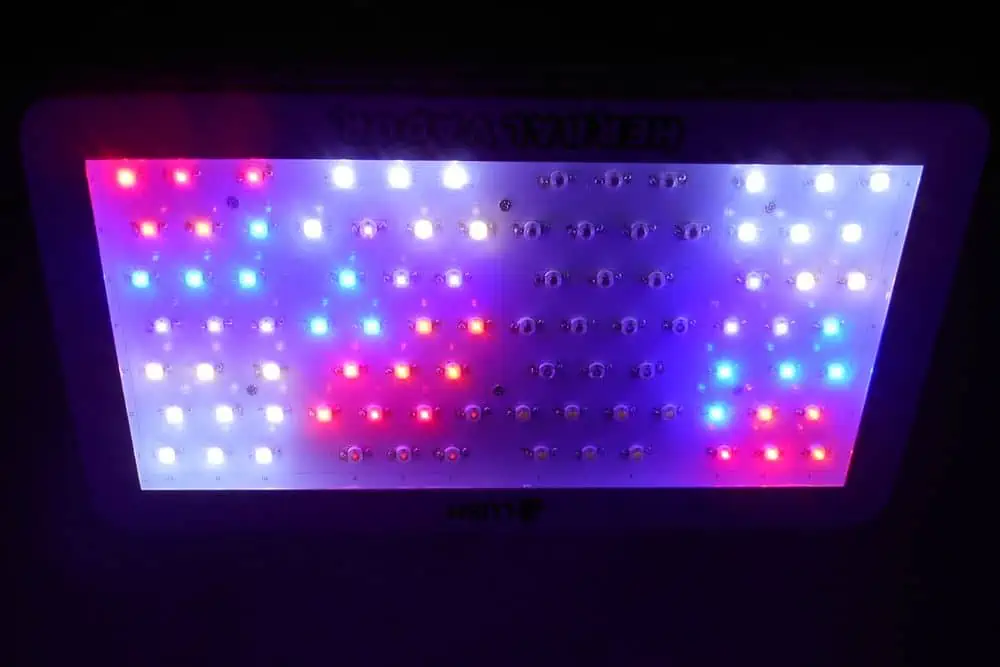 led grow light with red blue and white spectrum