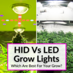 HID Vs LED Grow Lights
