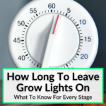 How Long To Leave Grow Lights On