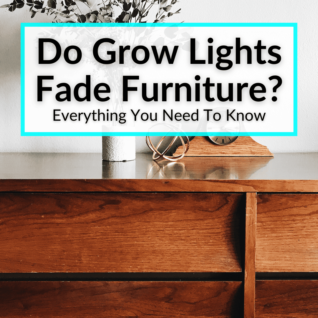 Do Grow Lights Fade Furniture