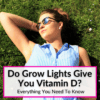 Do Grow Lights Give You Vitamin D