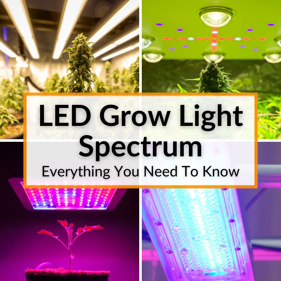 LED Grow Light Spectrum