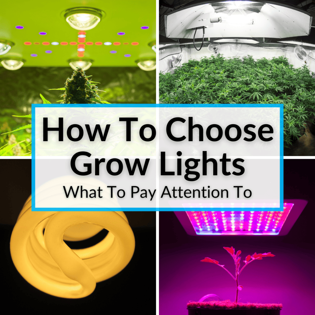 How To Choose Grow Lights (What To Pay Attention To)