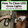 How To Clean LED Grow Lights