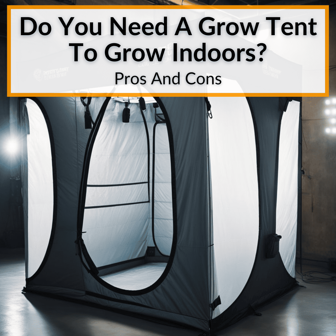Do You Need A Grow Tent To Grow Indoors